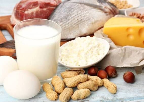 منتجات الألبان والأسماك واللحوم والمكسرات والبيض - تغذية حمية البروتين